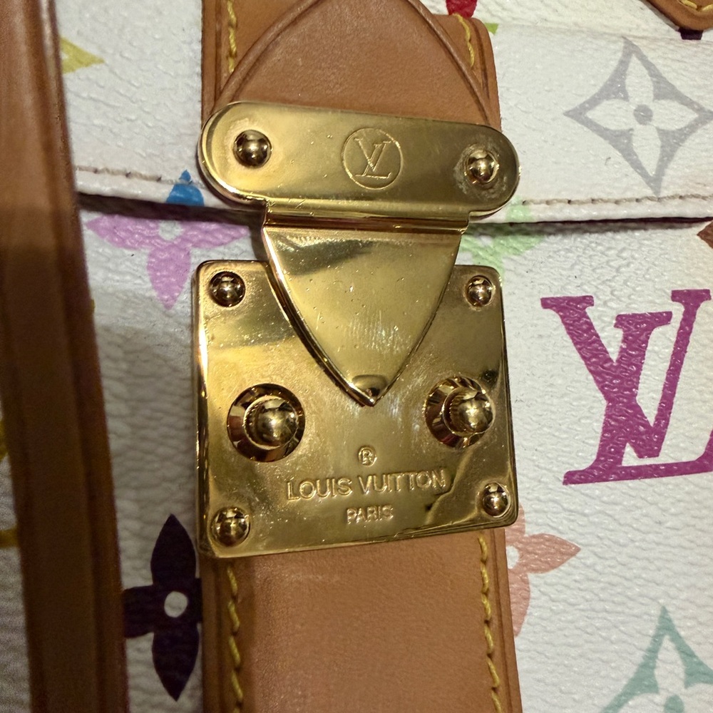 Louis Vuitton Multicolor Speedy 30 - Picture 6 of 17